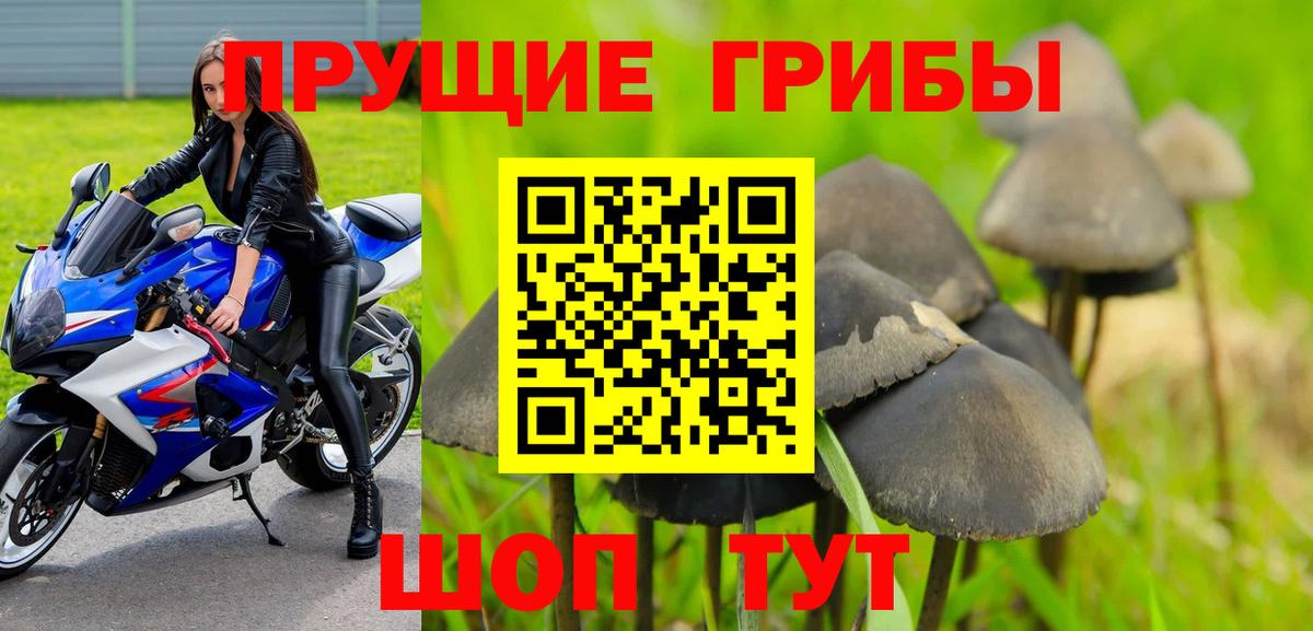 где можно купить наркотик  Псилоцибиновые грибы ЛСД  Вход с VPN  Абинск 